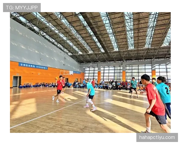 手球界定：以手臂位置与故意性为判罚关键