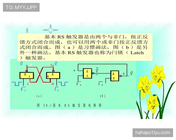 解析进攻重置规则的触发机制与判罚细节