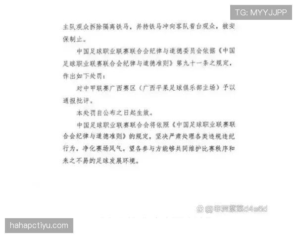 非体育行为判罚标准到底有哪些细节和争议? 非体育行为判罚标准到底有哪些细节和争议?